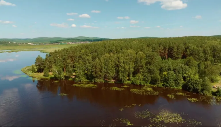 Момент из 12 серии 2 сезона